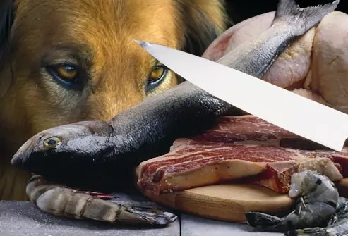 Kunnen honden rauwe vis eten?