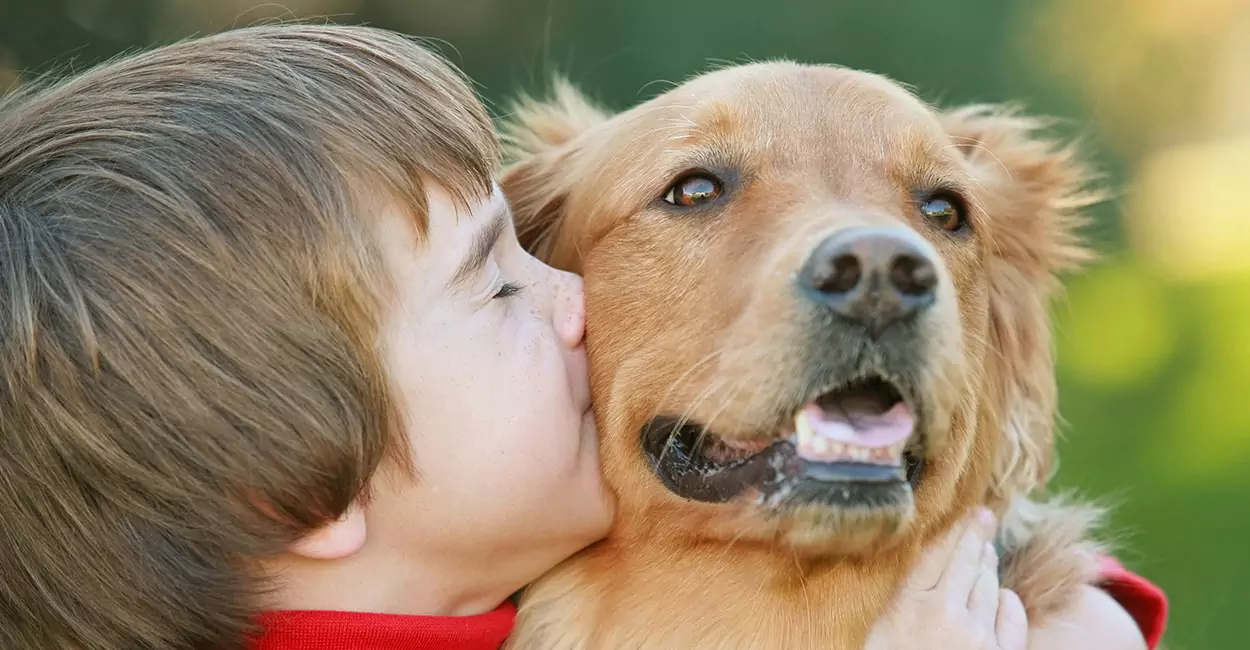Weten honden hoe ze moeten kussen? Begrijpen honden de betekenis van kussen?
